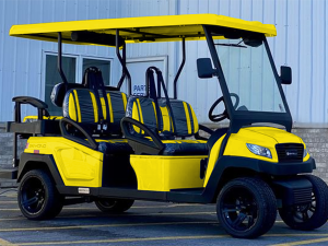 deerfield beach golf cart repair, golf cart service, mobile repair