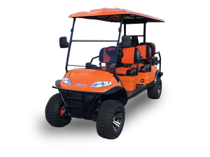 golf cart repair service, deerfield beach cart repair pickup, golf cart inspection